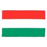 AZ FLAG Hongarije Vlag 150x90 cm Hongaarse vlaggen 90 x 150 cm Banner 3x5 ft Hoge kwaliteit