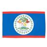 AZ FLAG Belize Vlag 150x90 cm Belizean vlaggen 90 x 150 cm Banner 3x5 ft Licht polyester