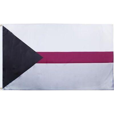 Vlag Demiseksuele Trots - 150x90cm - Duurzaam Stof Vlag Demiseksuele Trots - 150x90cm - Duurzaam Stof