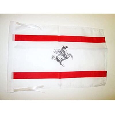 AZ FLAG Toscane Vlag 45x30 cm koorden Italië Italiaanse regio van Toscana KLEINE vlaggen 30 x 45 cm Banier 18x12 in Hoge kwaliteit Binnen en buiten decoratieve vlag Toscana dubbel gestikte naden en verstevigde randen 100D polyester AZ FLAG Toscane Vlag 45x30 cm koorden Italië Italiaanse regio van Toscana KLEINE vlaggen 30 x 45 cm Banier 18x12 in Hoge kwaliteit Binnen en buiten decoratieve vlag Toscana dubbel gestikte naden en verstevigde randen 100D polyester