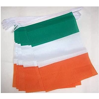 Az Flag Ierse vlaggen slinger - 3M, 10 vlaggen, 21x15cm Az Flag Ierse vlaggen slinger - 3M, 10 vlaggen, 21x15cm