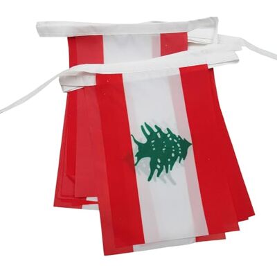 AZ FLAG Libanese Vlaggen Slinger - 6m, 20 Vlaggen, 21x15cm AZ FLAG Libanese Vlaggen Slinger - 6m, 20 Vlaggen, 21x15cm