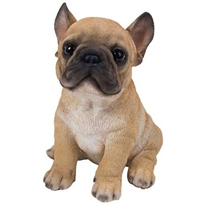 Dehner Franse buldog puppe, ca. 18 x 16,5 x 13 cm, polyhars, bruin decoratief figuur. Dehner Franse buldog puppe, ca. 18 x 16,5 x 13 cm, polyhars, bruin decoratief figuur.
