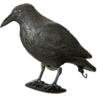 Dehner Decoratieve figuur raf, ca. 38 x 22,5 x 13,5 cm, kunststof, zwart Dehner Decoratieve figuur raf, ca. 38 x 22,5 x 13,5 cm, kunststof, zwart