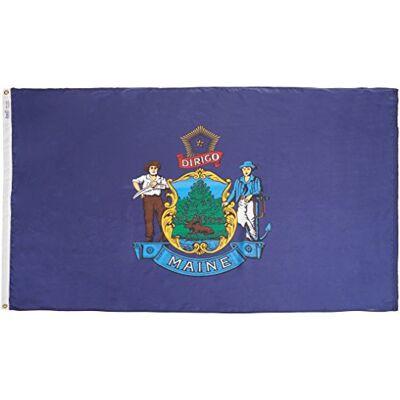 Annin Flagmakers Maine State Flag 4x6ft. Nylon SolarGuard Nyl-Glo 100% Gemaakt in de VS naar officiële staatsontwerp specificaties door . model 142270 Annin Flagmakers Maine State Flag 4x6ft. Nylon SolarGuard Nyl-Glo 100% Gemaakt in de VS naar officiële staatsontwerp specificaties door . model 142270
