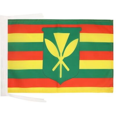 Az Flag - Hawaii Kanaka Maoli - 45x30cm - Flag Az Flag - Hawaii Kanaka Maoli - 45x30cm - Flag
