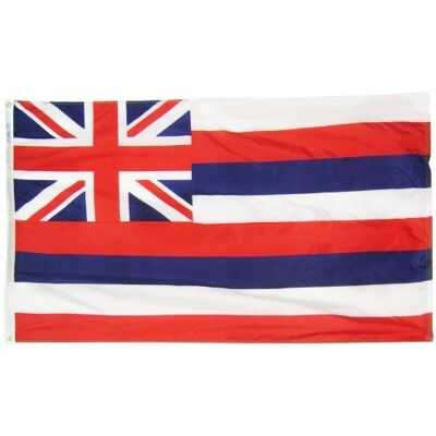 Annin Flagmakers Hawaii State Flag 3x5 ft. Nylon SolarGuard Nyl-Glo 100% Gemaakt in USA naar officiële staatsontwerp specificaties door . model 141260 Annin Flagmakers Hawaii State Flag 3x5 ft. Nylon SolarGuard Nyl-Glo 100% Gemaakt in USA naar officiële staatsontwerp specificaties door . model 141260