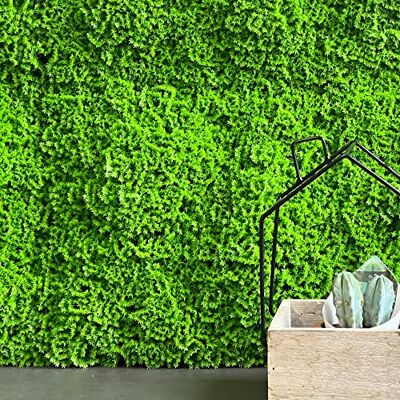 TENAX Merk Muscus 3D Hekpaneel - Verticale Tuin - 1x1m TENAX Merk Muscus 3D Hekpaneel - Verticale Tuin - 1x1m