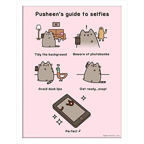 Pusheen Memorabilia, meerkleurig, 30 x 40 cm