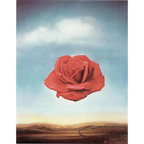 Our Posters Meditatieve Rose Salvador Dali Film Film Poster Beste Print Kunst Reproductie Kwaliteit Wanddecoratie Gift Canvas A2