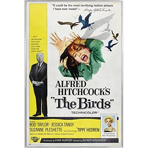 1art1 Alfred Hitchcock Affisch Print Plakkaat en Kunststof lijst The Birds (91 x 61cm)