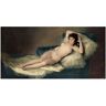 Museo del Prado Museum van de weide "The Maja nacda-Goya