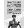 Stukk Arnold Schwarzenegger Motivation Gym Poster Art A4 (210 x 297mm)