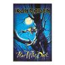 Grupo Erik Iron Maiden Fear Of The Dark Poster 91 x 61,5 cm Verzonden opgerold Cool Posters Kunst Poster Posters & Prints Muurposters