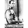 Close Up Arnold Schwarzenegger Poster (63cm x 89cm)