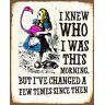 Chil Alice in Wonderland I've Changed Metalen plaquette, 15 x 20 cm, vintage retro, poster, kunst, fotoafdruk, TN1033