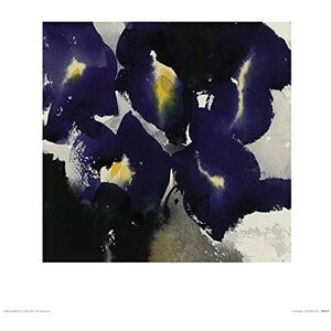 ART The David Ross (Iris Laevigata) -Kunstdruk 40 x 40cm, Papier, Multi kleuren, 40 x 40 x 1,3 cm ART The David Ross (Iris Laevigata) -Kunstdruk 40 x 40cm, Papier, Multi kleuren, 40 x 40 x 1,3 cm