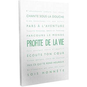 ART Profite de la Vie muurschildering op frame, moderne stijl, lichtgroen/wit, 30 x 20 cm ART Profite de la Vie muurschildering op frame, moderne stijl, lichtgroen/wit, 30 x 20 cm