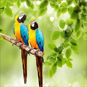 ART g1814a muurschildering, Giclee Print Parkieten II, 30 x 30 cm, meerkleurig, 30 x 30 cm ART g1814a muurschildering, Giclee Print Parkieten II, 30 x 30 cm, meerkleurig, 30 x 30 cm