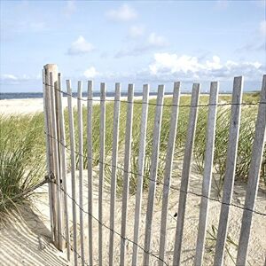 Pro-Art gla662d muurschildering GlasArt "sand sedge II", 20 x 20 cm Pro-Art gla662d muurschildering GlasArt "sand sedge II", 20 x 20 cm