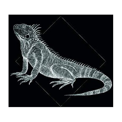 KOMAR Iguana Black - Dieren Poster - 70cm x 50cm KOMAR Iguana Black - Dieren Poster - 70cm x 50cm
