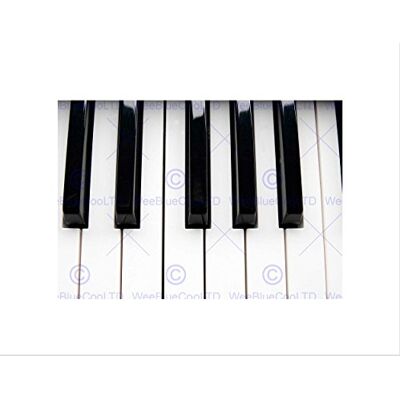 Wee Blue Coo Piano Keys Black White Close Up Music Picture Wall Art Print Wee Blue Coo Piano Keys Black White Close Up Music Picture Wall Art Print