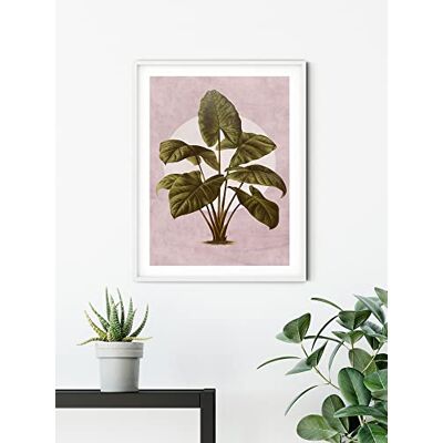 KOMAR - Créatures Végétales - 40x50 cm - Kleurrijk - Poster KOMAR - Créatures Végétales - 40x50 cm - Kleurrijk - Poster