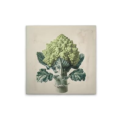 A.S. Création Canvasfoto Romanesco keukenmotief wandafbeelding in crème, beige 50 x 50 cm DD132953 A.S. Création Canvasfoto Romanesco keukenmotief wandafbeelding in crème, beige 50 x 50 cm DD132953