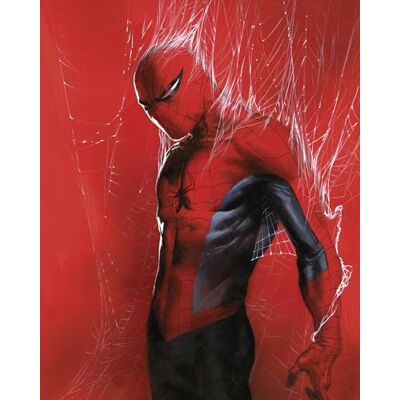 Komar Muurschildering- Marvel Spider-Man Through the Spider Web Grootte 40 x 50 cm Kinderkamer, Wanddecoratie Komar Muurschildering- Marvel Spider-Man Through the Spider Web Grootte 40 x 50 cm Kinderkamer, Wanddecoratie