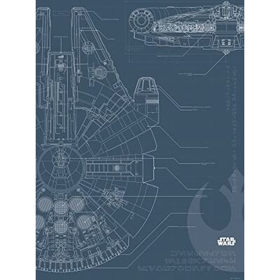 Komar Kunstposter - Star Wars Falcon - 50x70cm - Kunstafdruk Komar Kunstposter - Star Wars Falcon - 50x70cm - Kunstafdruk