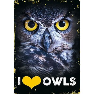 Plenty Gifts waakbord I Love Owls decoratief metalen wandbord Engelstalige uitvoering 14,8x21 cm Plenty Gifts waakbord I Love Owls decoratief metalen wandbord Engelstalige uitvoering 14,8x21 cm