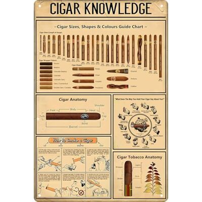 CSWLJS Sigaar citaat muurdecoratie vintage kunst poster plaquette sigaar kennis metalen poster plaques voor thuis woonkamer keuken cafe bar garage wanddecoratie 20 x 30 cm CSWLJS Sigaar citaat muurdecoratie vintage kunst poster plaquette sigaar kennis metalen poster plaques voor thuis woonkamer keuken cafe bar garage wanddecoratie 20 x 30 cm