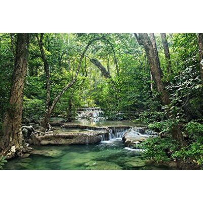 Scenolia Fotobehang poster panorama "LA FORET D'EMERAUDE" 4x2,70m decoratie en afbeelding XXL kwaliteit HD Scenolia Fotobehang poster panorama "LA FORET D'EMERAUDE" 4x2,70m decoratie en afbeelding XXL kwaliteit HD