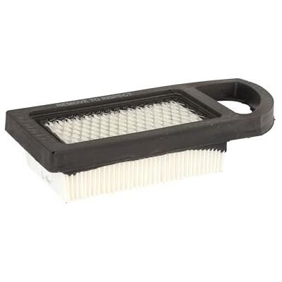 Briggs & Stratton Genuine Air Filter A/C Cartridge 794421 Briggs & Stratton Genuine Air Filter A/C Cartridge 794421