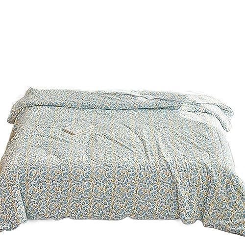 IJNHYTG Zomerse coole quilt Koel dun dekbed, koud beddengoed, dekbedden for zomerwas, gewatteerd dekbed (Size : 200 * 230cm)