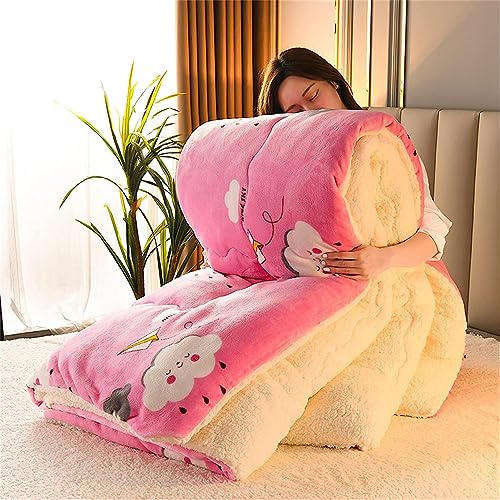 XHDZSW Lamb Velvet Winter Quilt, Cashmere Quilt, Double Sided Velvet Warm Quilting Core, Wool Autumn and Winter Thicken Warm Gift Quilt (150x200cm(1.75kg),Roze)