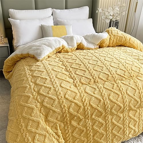 LXURY Fleece Dekbed Dekbed Comfort Beddengoed Super Zacht Pluche Warm Houden Winter Pluizig Dekbed Dubbelzijdig Gewatteerde Spreien Dubbelzijdig Pluche Winterdeken,005,200cmx230cm(5kg)