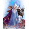 BrandMac Disney Frozen Elsa Anna fleece deken knuffeldeken knuffeldeken 130 x 170 cm