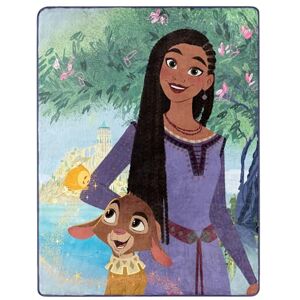 Northwest Disney Wish Silk Touch Gooi Deken, 46 x 60 inch, Vriendschap Northwest Disney Wish Silk Touch Gooi Deken, 46 x 60 inch, Vriendschap