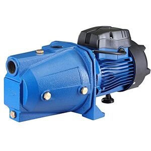 BAKAJI Elektrische zelfverlaagde pomp voor perifere autoclaven, vermogen 1 HP (750 W) koperen motorpomp, turbine van roestvrij staal, as van koolstofstaal, gietijzer, maximale doorstroming 50 BAKAJI Elektrische zelfverlaagde pomp voor perifere autoclaven, vermogen 1 HP (750 W) koperen motorpomp, turbine van roestvrij staal, as van koolstofstaal, gietijzer, maximale doorstroming 50