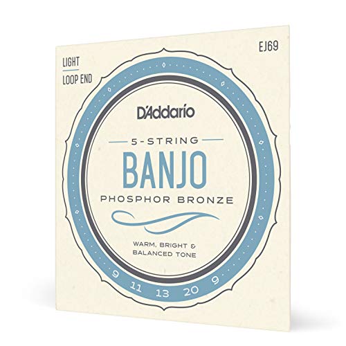 D'Addario EJ69 Banjo Snaren