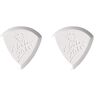 Chicken Picks ChickenPicks plectrums 2 x Badazz III 2,5 mm