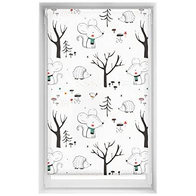 Decor EasyFix Rolgordijnen - Translucent 95x150 - Geen Gereedschap Decor EasyFix Rolgordijnen - Translucent 95x150 - Geen Gereedschap