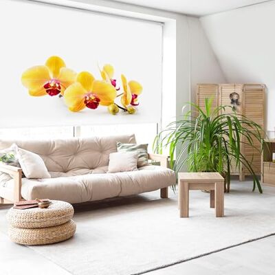Blindecor Digitaal Rolgordijn transparant bedrukt Familie Zen Model Z-Yellow 130 x 180 cm (breedte x hoogte) stofgrootte 126 x 175 cm rolgordijnen Blindecor Digitaal Rolgordijn transparant bedrukt Familie Zen Model Z-Yellow 130 x 180 cm (breedte x hoogte) stofgrootte 126 x 175 cm rolgordijnen