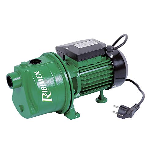 Ribimex Tuinpomp jetpomp (met 600 watt)