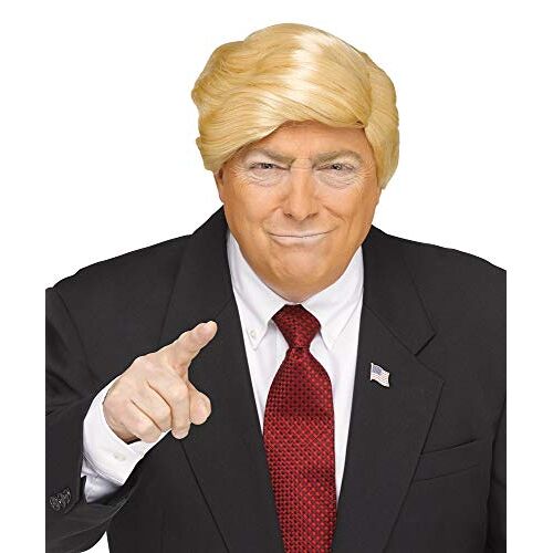 FunWorld Comb Over Candidate Costume Wig Adult Men