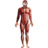 Smiffys Anatomy Man Costume (M)