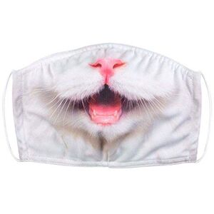 Boland 56781 masker kat, voor volwassenen, dagelijks masker, diermasker, Halloween, carnaval, verkleedpartij, kostuum Boland 56781 masker kat, voor volwassenen, dagelijks masker, diermasker, Halloween, carnaval, verkleedpartij, kostuum