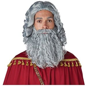 California Costumes Wise Man Gray Wig and Beard Standard California Costumes Wise Man Gray Wig and Beard Standard