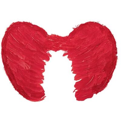 Boland Verenvleugels voor kostuums, 60 x 40 cm Vleugels voor carnaval, themafeest, Halloween en Kerstmis Boland Verenvleugels voor kostuums, 60 x 40 cm Vleugels voor carnaval, themafeest, Halloween en Kerstmis